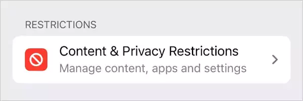 Content and privacy restrictions