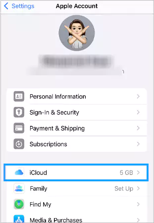 click on iCloud