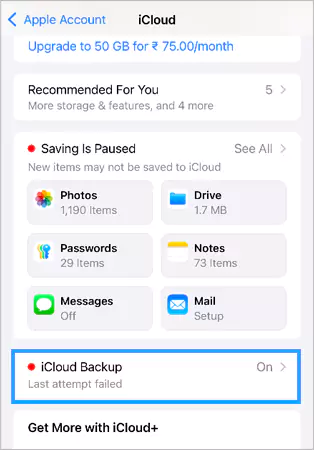 select iCloud Backup