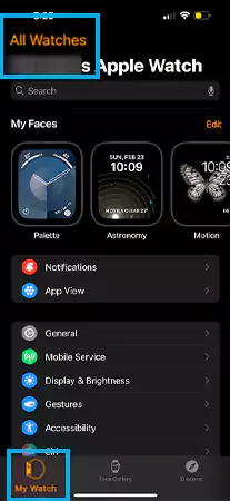 Apple all watches option